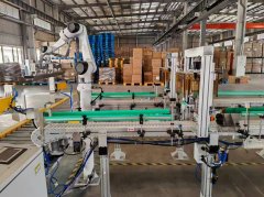 Robot palletizer and move product 