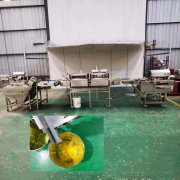 Egg white and yolk separator for bread ca